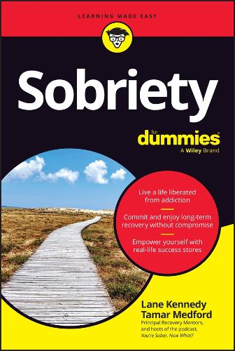 Бумажная книга «Sobriety For Dummies», авторов Лейн Кеннеди, Тамар Медфорд - фото №1