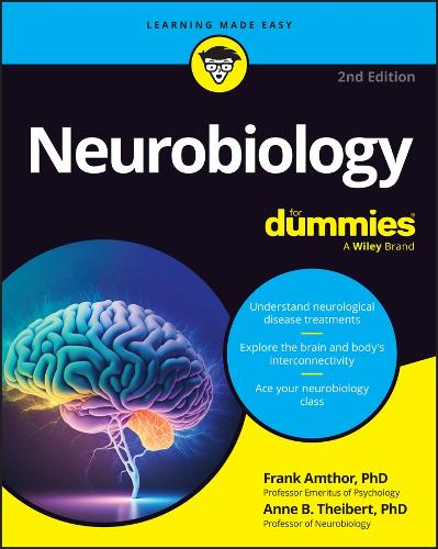 Паперова книга «Neurobiology For Dummies», авторів Енн Тейберт, Франк Амтор - фото №1