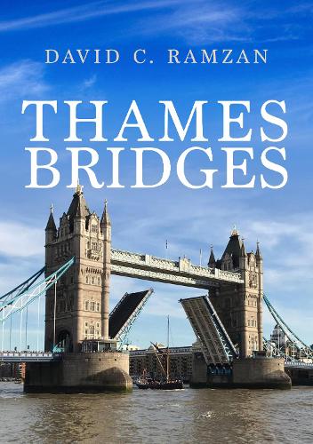 Бумажная книга «Thames Bridges», автор Дэвид К. Рамзан - фото №1