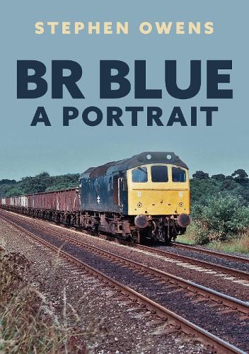 Бумажная книга «BR Blue: A Portrait», автор Стивен Оуэнс - фото №1