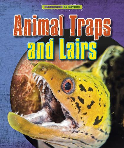 Бумажная книга «Animal Traps and Lairs», авторов Луиза Спилсбери, Ричард Спилсбери - фото №1