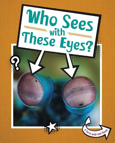 Бумажная книга «Who Sees With These Eyes?», автор Кари Майстер - фото №1