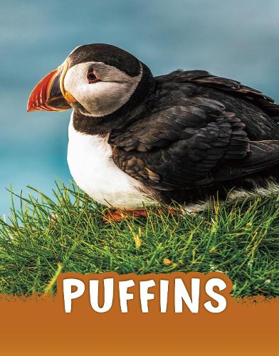 [object Object] «Puffins», автор Жаклін Джейкокс - фото №1