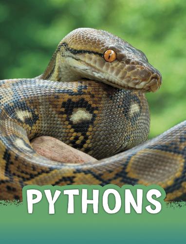 [object Object] «Pythons», автор Марта Е. Х. Рустад - фото №1
