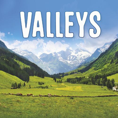 Паперова книга «Valleys», автор Ліза Дж. Амстуц - фото №1