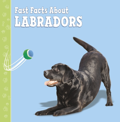 Паперова книга «Fast Facts About Labradors», автор Марсі Абофф - фото №1