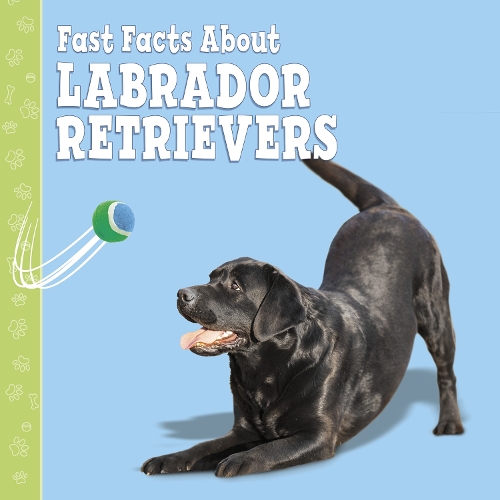 Паперова книга «Fast Facts About Labradors», автор Марсі Абофф - фото №1