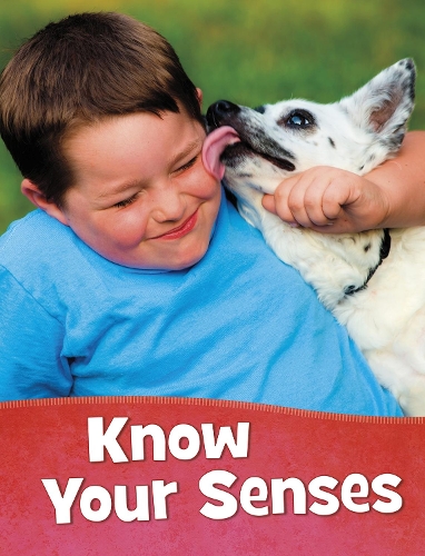Паперова книга «Know Your Senses», автор Марі Шух - фото №1