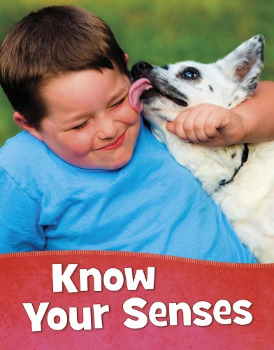 Бумажная книга «Know Your Senses», автор Мари Шух - фото №1