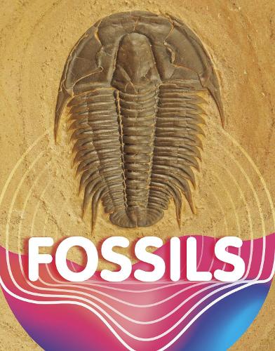 Паперова книга «Fossils», автор Келі Сіпперлі - фото №1