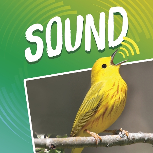 Паперова книга «Sound», автор Майкл Дал - фото №1