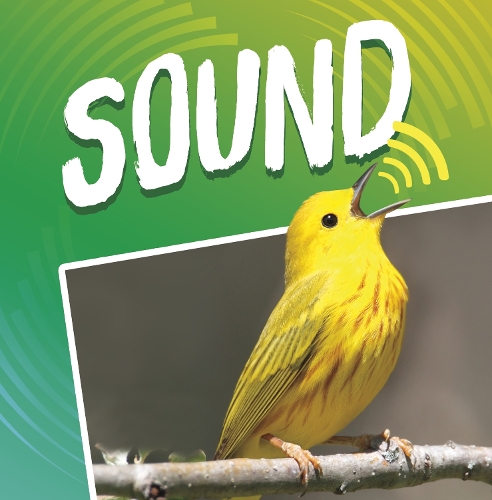 Паперова книга «Sound», автор Майкл Дал - фото №1