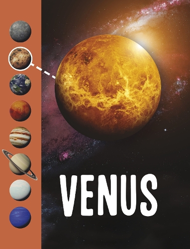 Бумажная книга «Venus», автор Джоди Рейк - фото №1