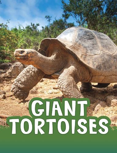 Паперова книга «Giant Tortoises», автор Жаклін Джейкокс - фото №1