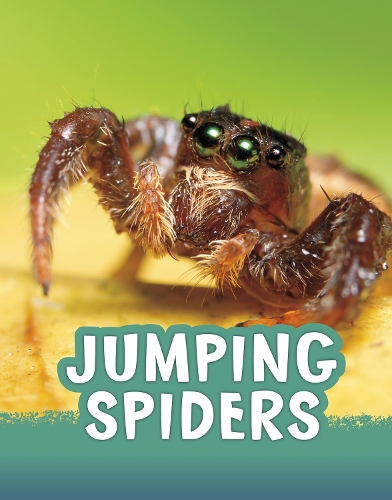 [object Object] «Jumping Spiders», автор Жаклін Джейкокс - фото №1