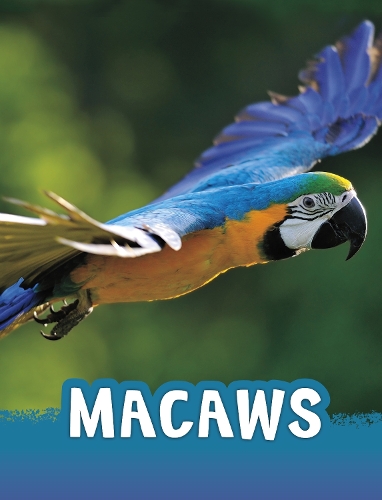 [object Object] «Macaws», автор Жаклін Джейкокс - фото №1