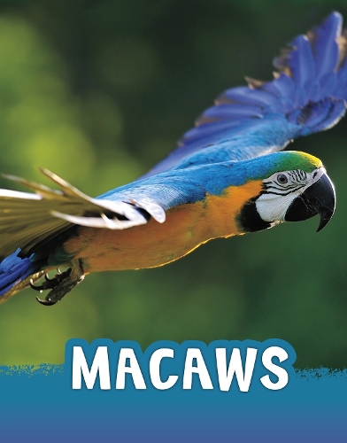 [object Object] «Macaws», автор Жаклін Джейкокс - фото №1