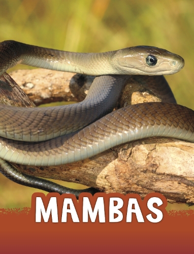 Бумажная книга «Mambas», автор Жаклин Джейкокс - фото №1