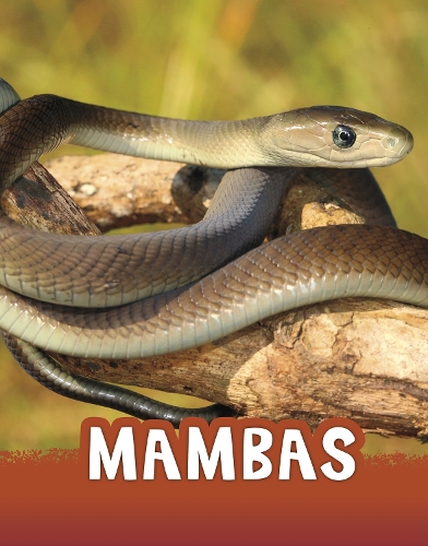 Паперова книга «Mambas», автор Жаклін Джейкокс - фото №1