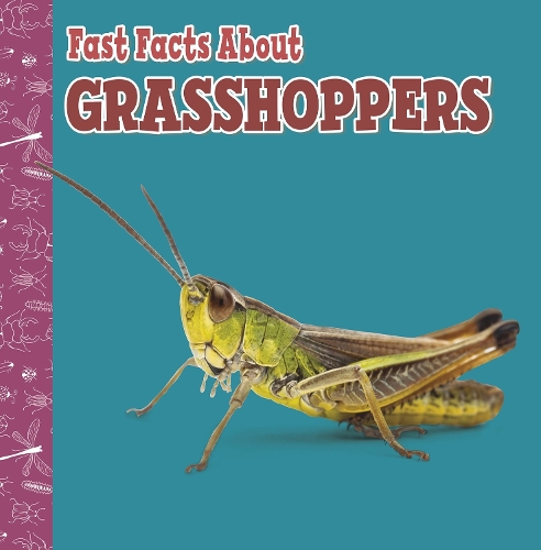 [object Object] «Fast Facts About Grasshoppers», автор Джулия Гарстецки-Дерковиц - фото №1