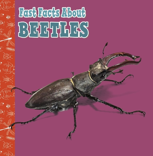 Бумажная книга «Fast Facts About Beetles», автор Джулия Гарстецки-Дерковиц - фото №1