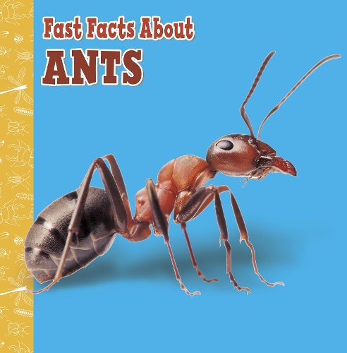 Паперова книга «Fast Facts About Ants», автор Ліза Дж. Амстуц - фото №1