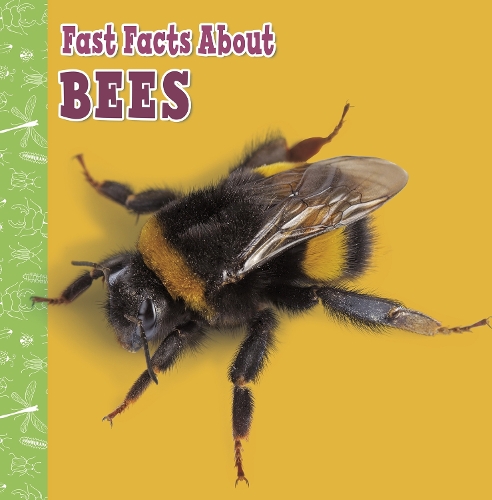 Бумажная книга «Fast Facts About Bees», автор Лиза Дж. Амстутц - фото №1
