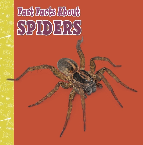 [object Object] «Fast Facts About Spiders», автор Джулия Гарстецки-Дерковиц - фото №1