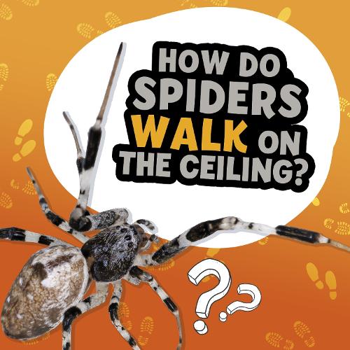 [object Object] «How Do Spiders Walk on the Ceiling?», автор Нeнсi Дiкманн - фото №1