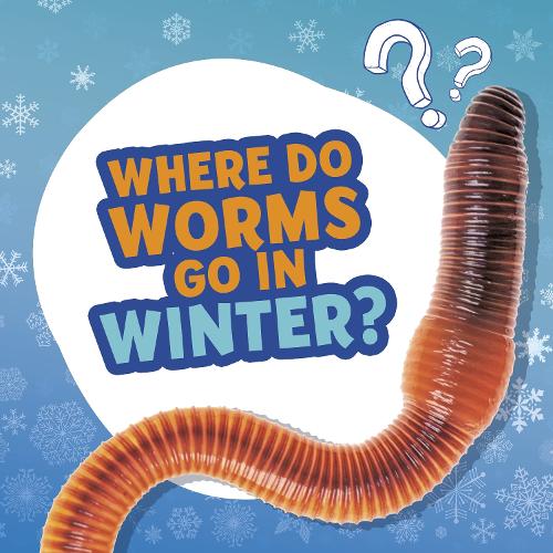 Паперова книга «Where Do Worms Go in Winter?», автор Еллен Лабрек - фото №1