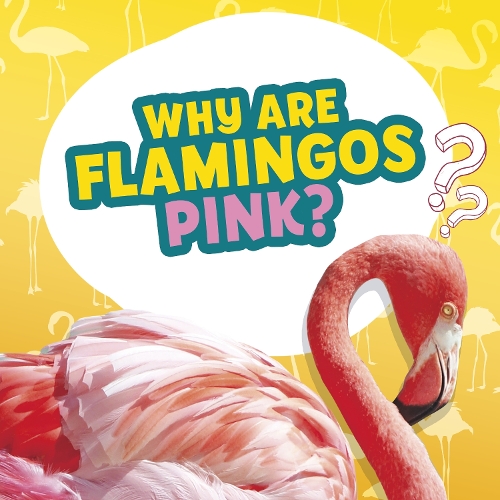 Бумажная книга «Why Are Flamingos Pink?», автор Нэнси Дикманн - фото №1