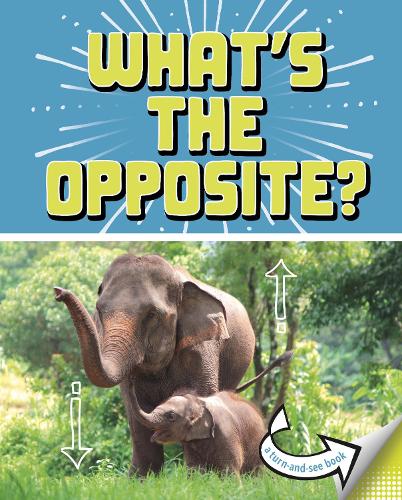 Бумажная книга «What's the Opposite?: A Turn-and-See Book», автор Кари Майстер - фото №1