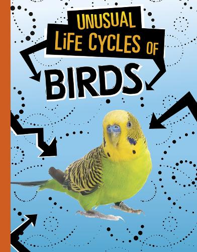 Бумажная книга «Unusual Life Cycles of Birds», автор Жаклин Джейкокс - фото №1
