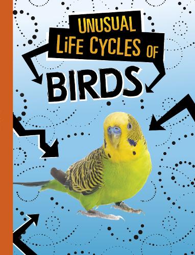 Паперова книга «Unusual Life Cycles of Birds», автор Жаклін Джейкокс - фото №1