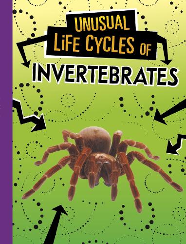 Паперова книга «Unusual Life Cycles of Invertebrates», автор Жаклін Джейкокс - фото №1