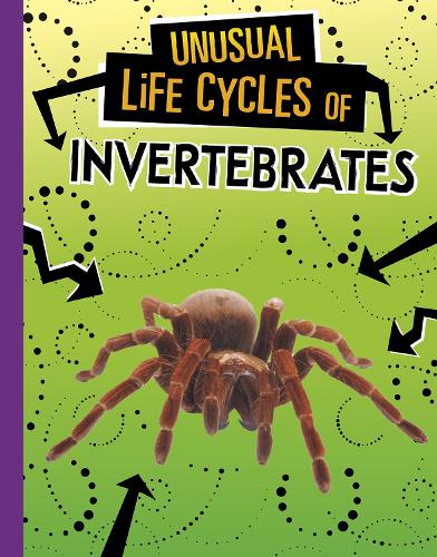 Паперова книга «Unusual Life Cycles of Invertebrates», автор Жаклін Джейкокс - фото №1