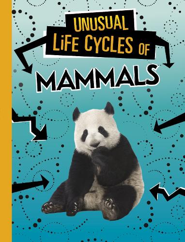 Паперова книга «Unusual Life Cycles of Mammals», автор Жаклін Джейкокс - фото №1