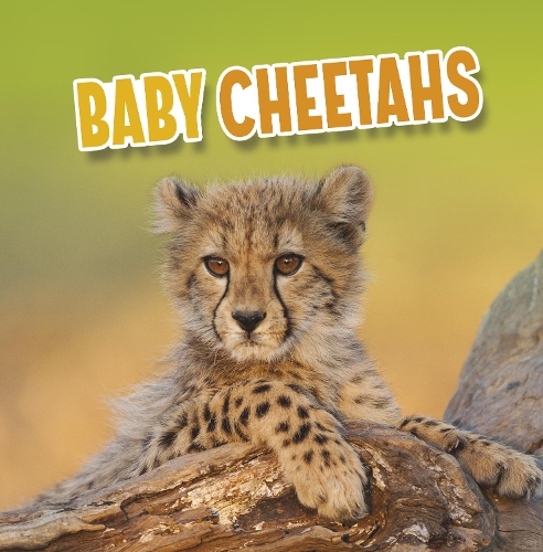 Паперова книга «Baby Cheetahs», автор Марта Е. Х. Рустад - фото №1