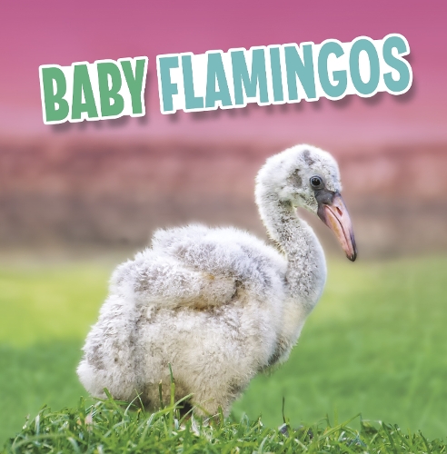 [object Object] «Baby Flamingos», автор Марта Е. Х. Рустад - фото №1
