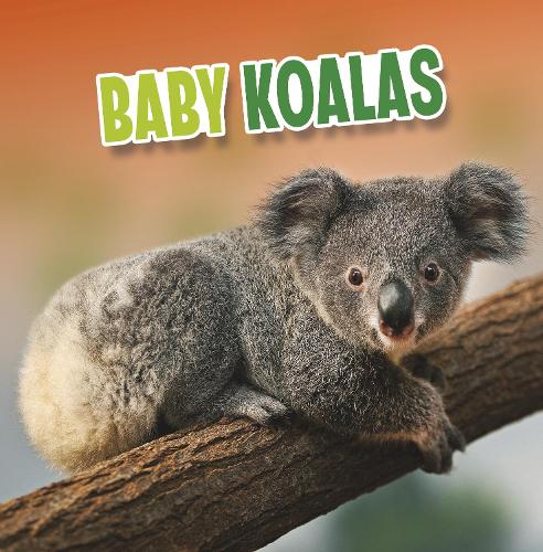Бумажная книга «Baby Koalas», автор Марта Э. Х. Рустад - фото №1