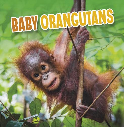 [object Object] «Baby Orangutans», автор Марта Е. Х. Рустад - фото №1