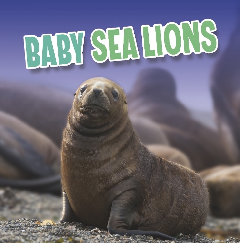 [object Object] «Baby Sea Lions», автор Марта Е. Х. Рустад - фото №1