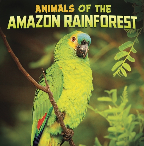 [object Object] «Animals of the Amazon Rainforest», автор Мари Шух - фото №1