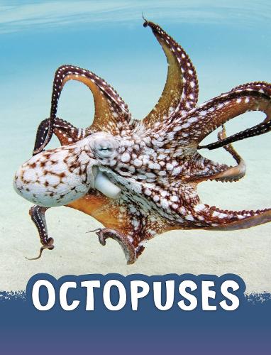 [object Object] «Octopuses», автор Жаклін Джейкокс - фото №1