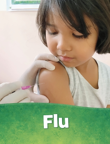 Паперова книга «Flu», автор Бет Бенс Рейнке - фото №1