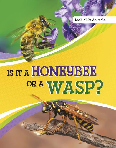 [object Object] «Is It a Honeybee or a Wasp?», автор Сьюзен Б. Кац - фото №1