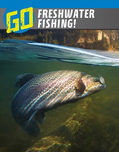 Бумажная книга «Go Freshwater Fishing!», автор Лиза М. Болт Саймонс - фото №1