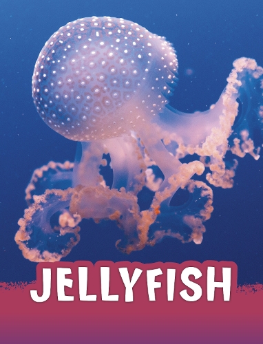 Паперова книга «Jellyfish», автор Жаклін Джейкокс - фото №1