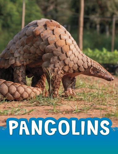 Паперова книга «Pangolins», автор Жаклін Джейкокс - фото №1