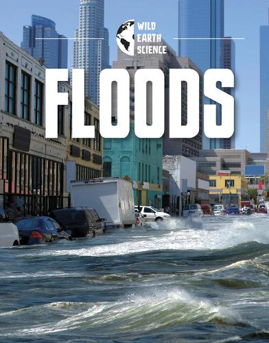 Паперова книга «Floods», автор Рейчел Вернер - фото №1